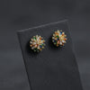 Radiant Luxe Stud Earrings jewellery product view 1