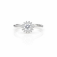 Eterna Flower Diamond Halo Ring jewellery product view 11