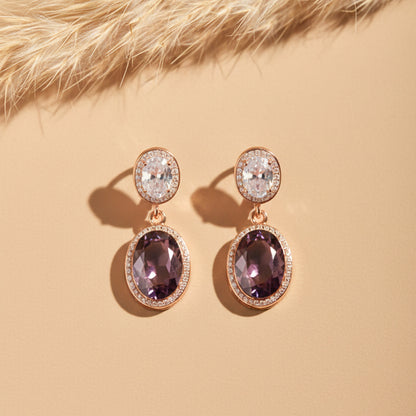 Prestige Double Stone Earrings jewellery product view 1
