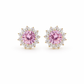 Rose Glow Floral Halo Earrings jewellery product view 7